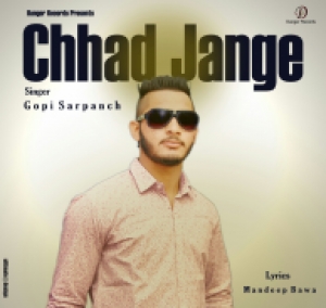 Assin Tere Warge Nee cover art 