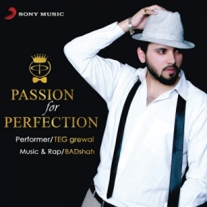 Passion For Perfection cover art 