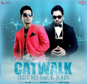 Catwalk FT K John cover art 