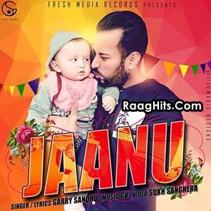 Jaanu cover art 