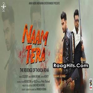Naam Tera (The Revenge of Thokda Reha) cover art 