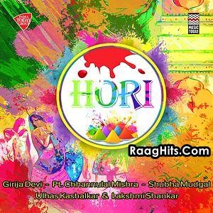 Hori cover art 