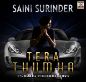 Tenu Bhulaunde (Remix) cover art 
