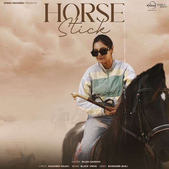 horse stick cover art 