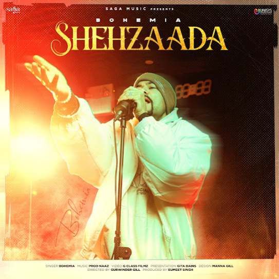 shehzaada cover art 