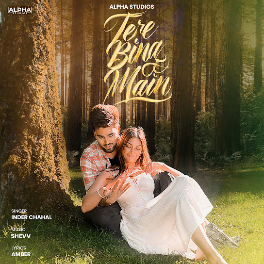 tere bina main cover art 