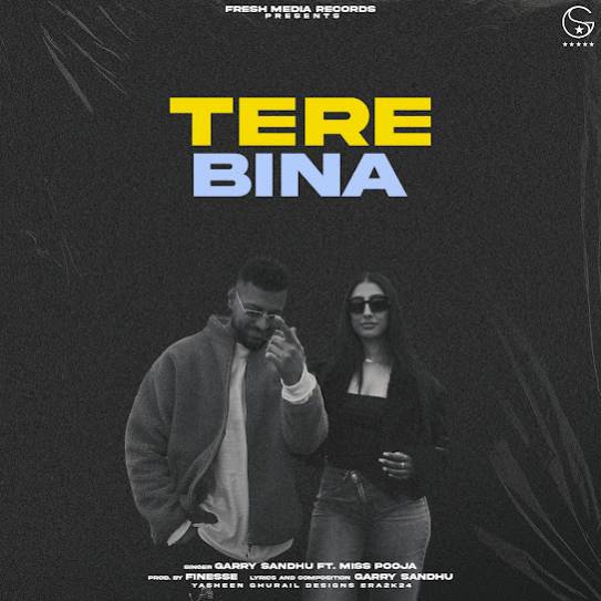 tere bina cover art 