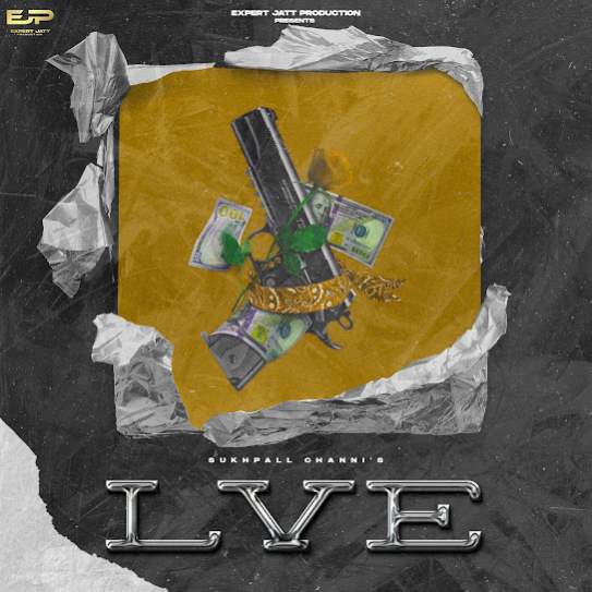 l.ve cover art 