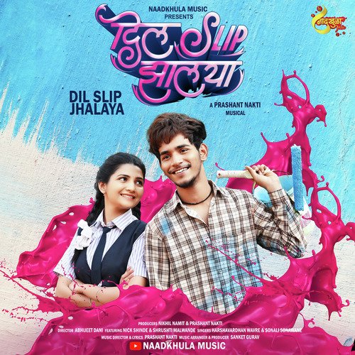 Dil Slip Jhalaya cover art 