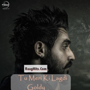 Tu Meri Ki Lagdi cover art 