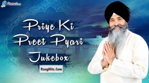 Priye Ki Preet Pyari cover art 