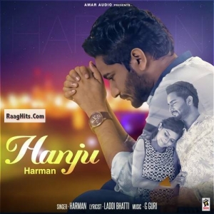 Hanju cover art 