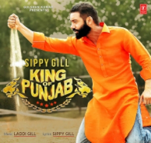 King of Punjab (Itune Rip) cover art 