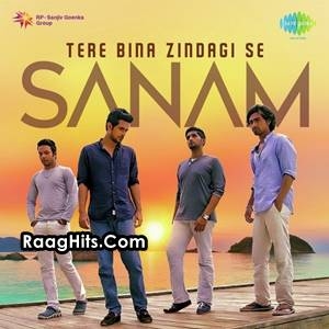 Sanam - Tere Bina Zindagi Se cover art 