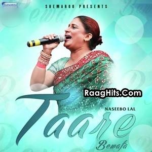 Taare Bewafa cover art 