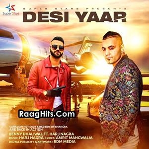 Desi Yaar cover art 