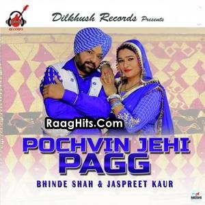 Pochvin Jehi Pagg Waleya cover art 