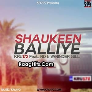 Shaukeen Balliye cover art 