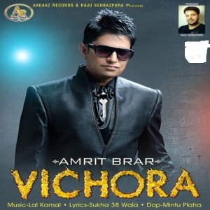 Vichora cover art 