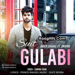 Suit Gulabi cover art 