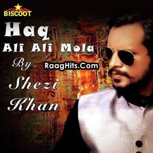 Haq Ali Ali Mola cover art 