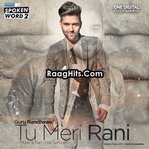 Tu Meri Rani ft Haji Springer cover art 