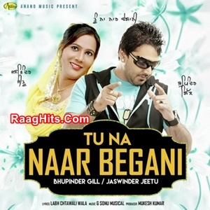 Daaru Pi Ke Roye   cover art 