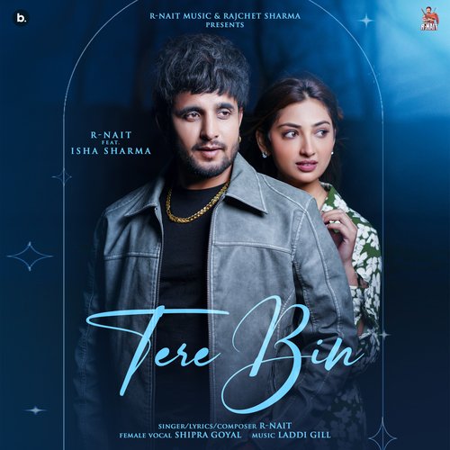 Tere Bin cover art 