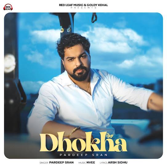 dhokha cover art 