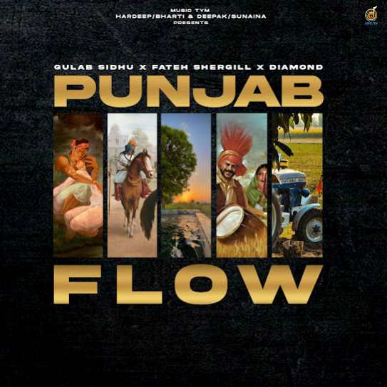 punjab-flow cover art 