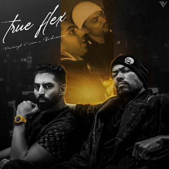 true flex cover art 